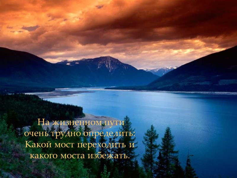 На жизненном пути очень трудно определить: Какой мост переходить и какого моста избежать.